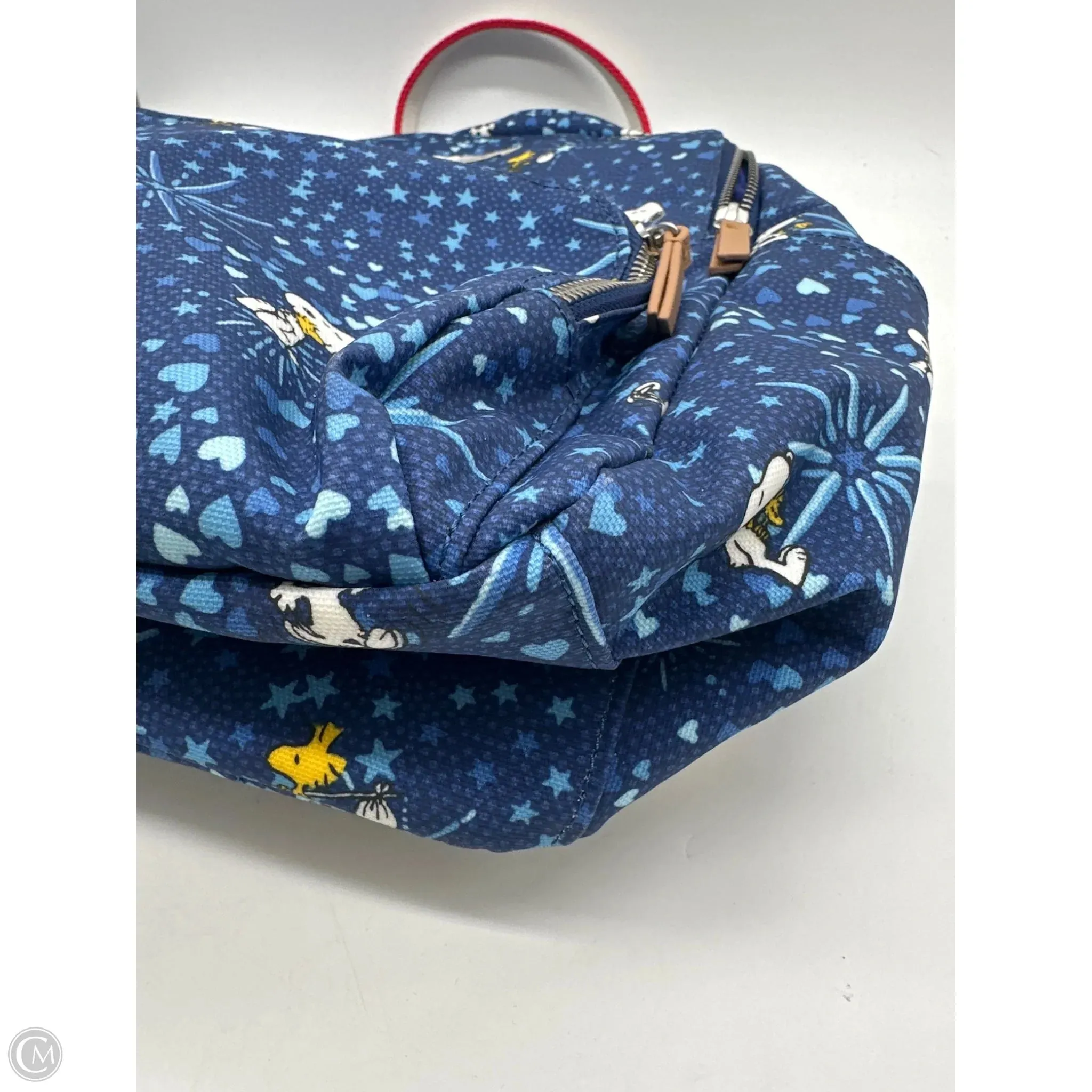 Backpack By Cmb, Size: Large
