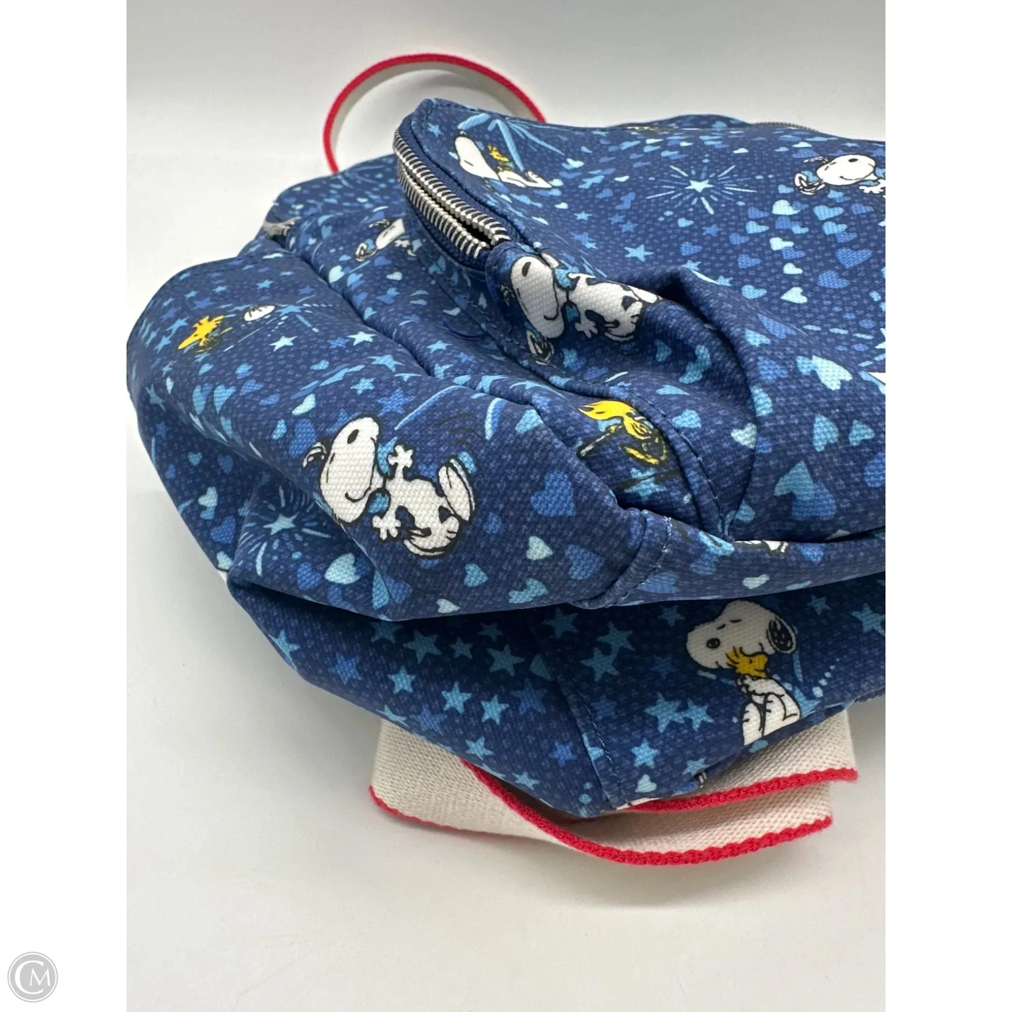 Backpack By Cmb, Size: Large