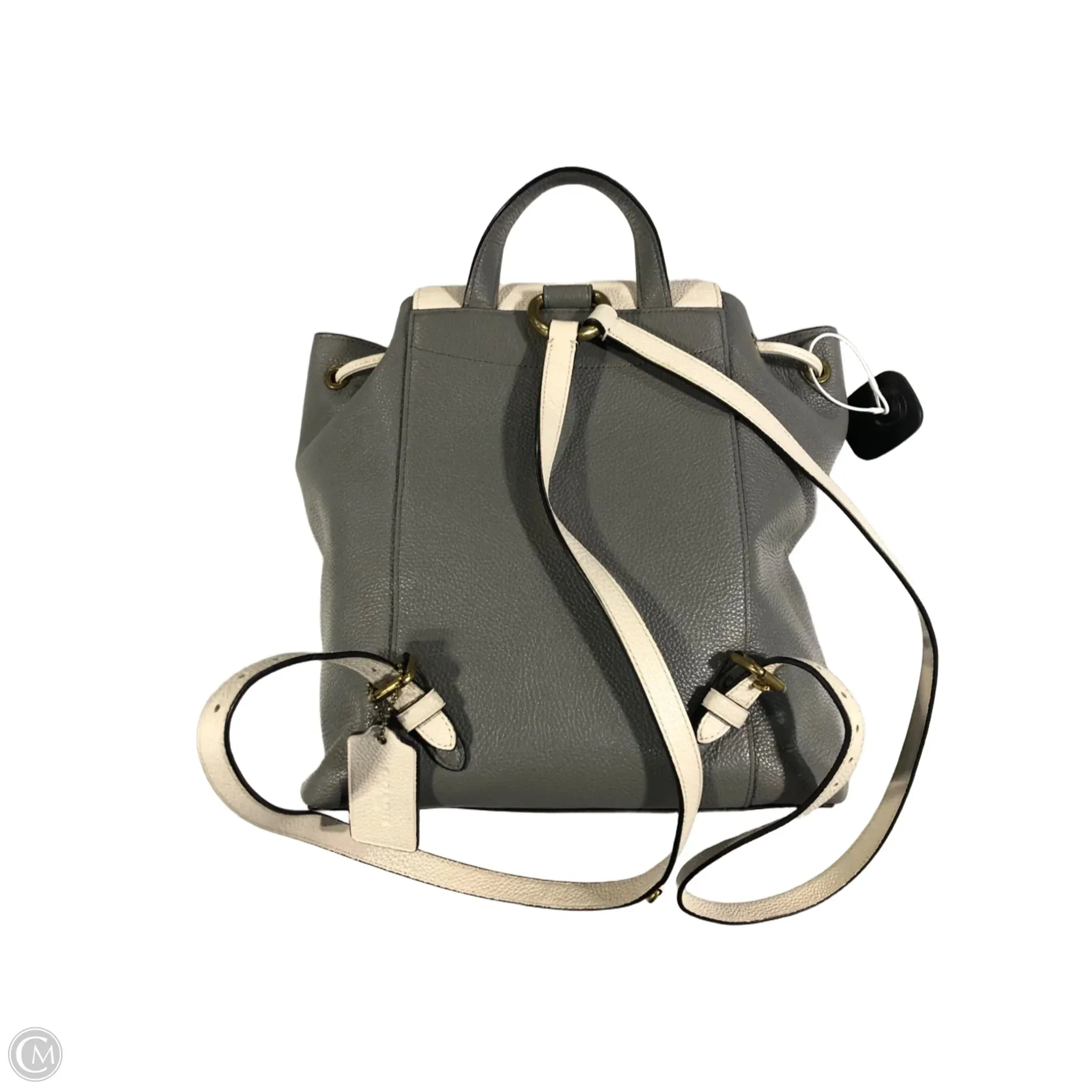 Backpack Designer By Coach, Size: Small
