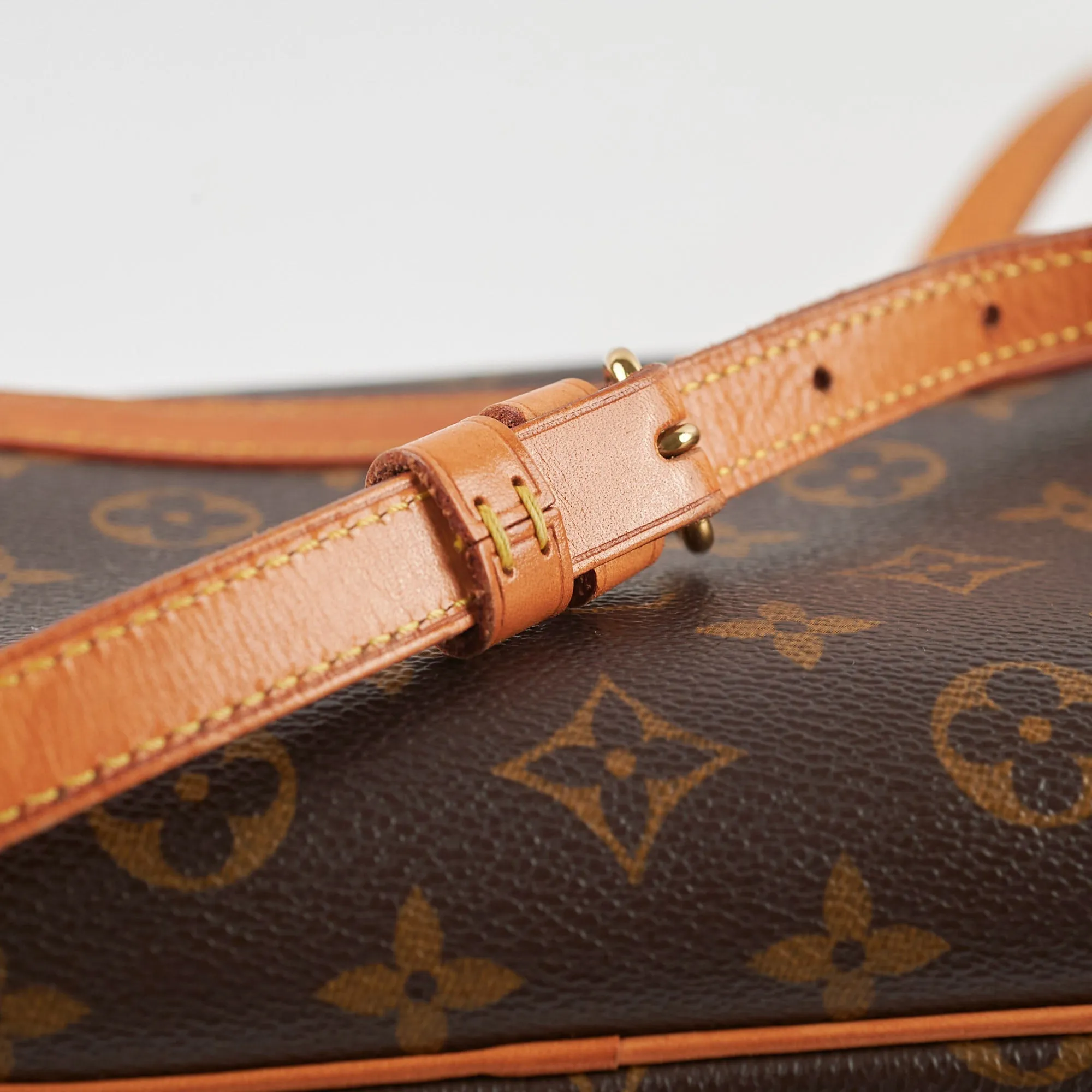 Louis Vuitton Blois Monogram Shoulder Bag