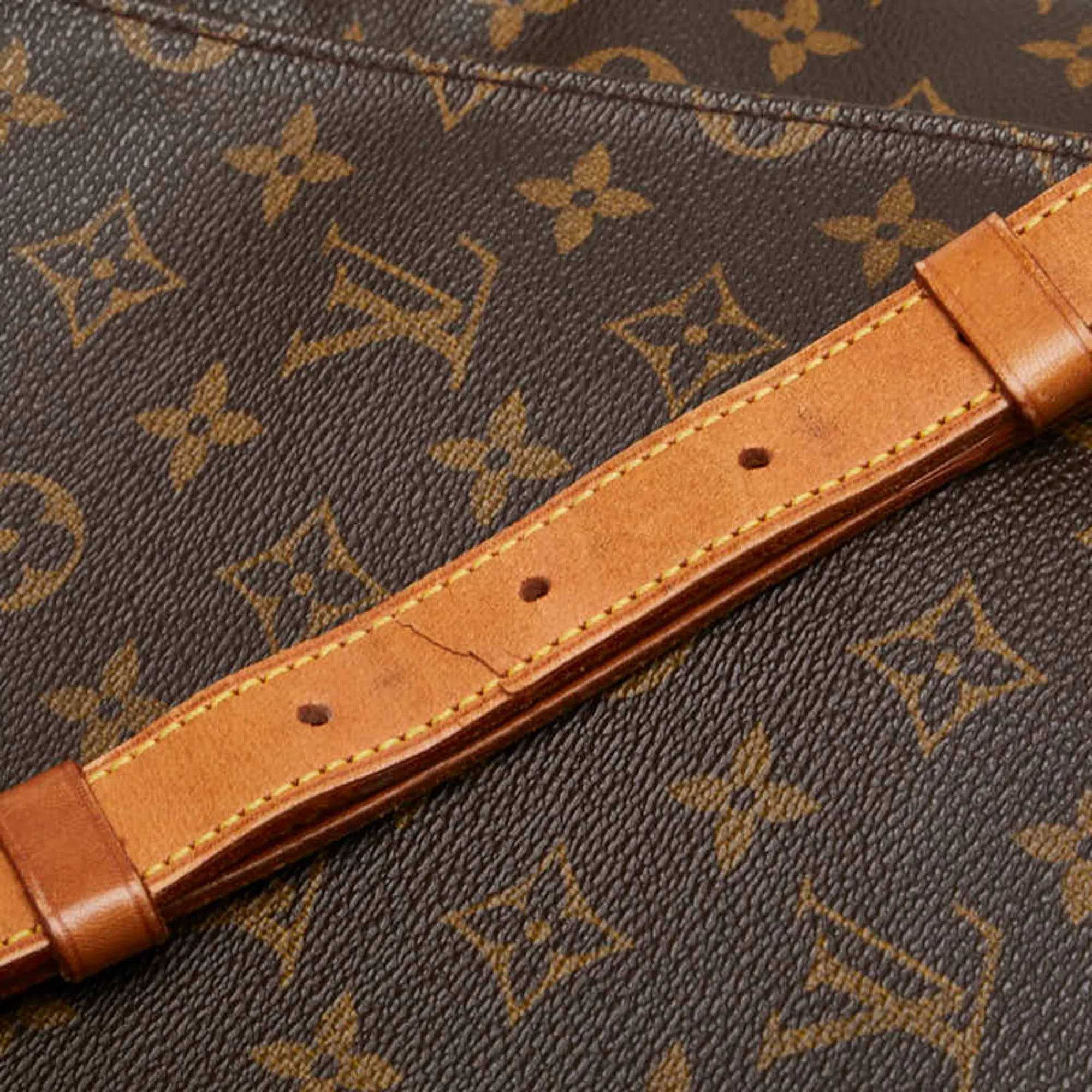 Louis Vuitton Monogram  Pvc Leather Shoulder Bag