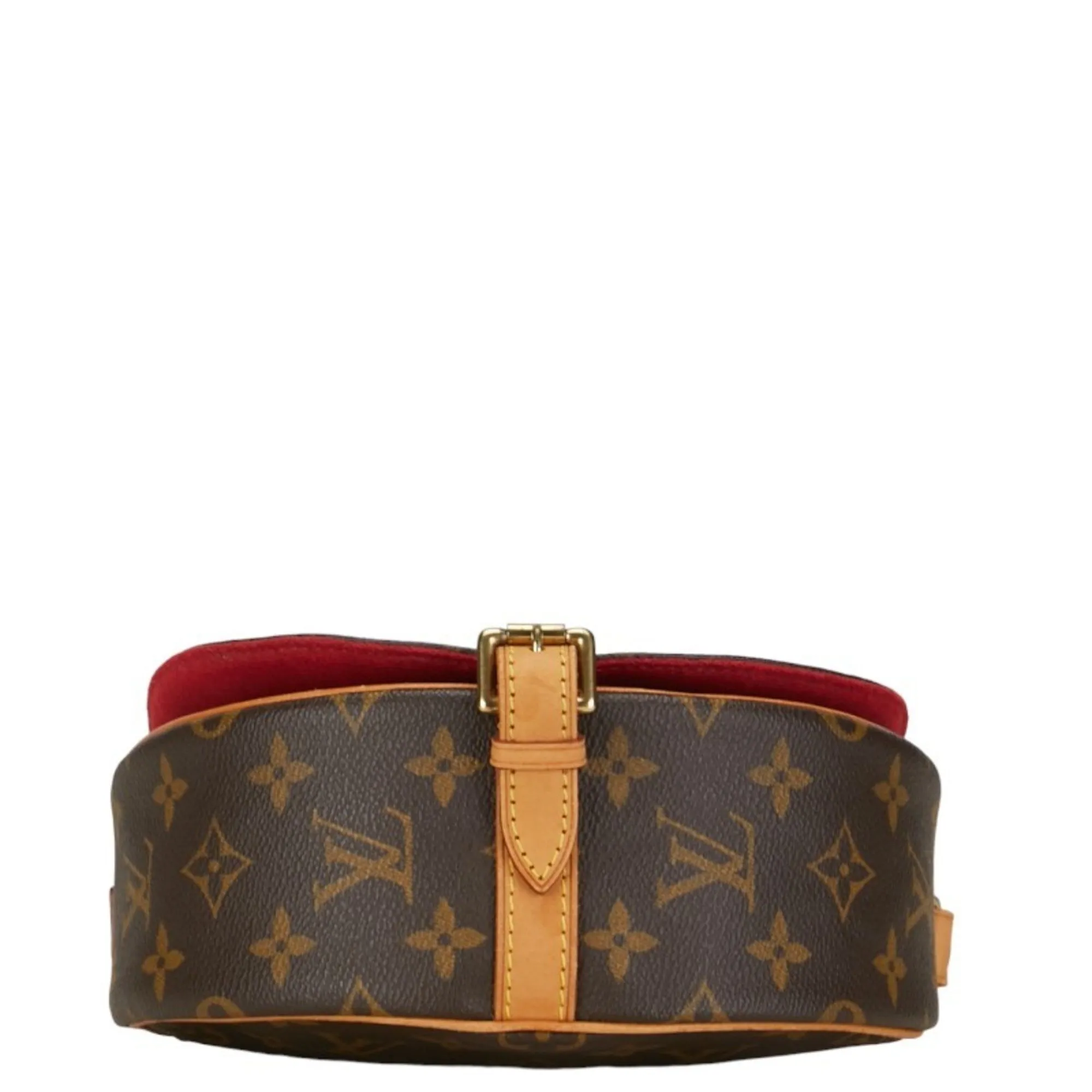 Louis Vuitton Monogram  Pvc Leather Shoulder Bag