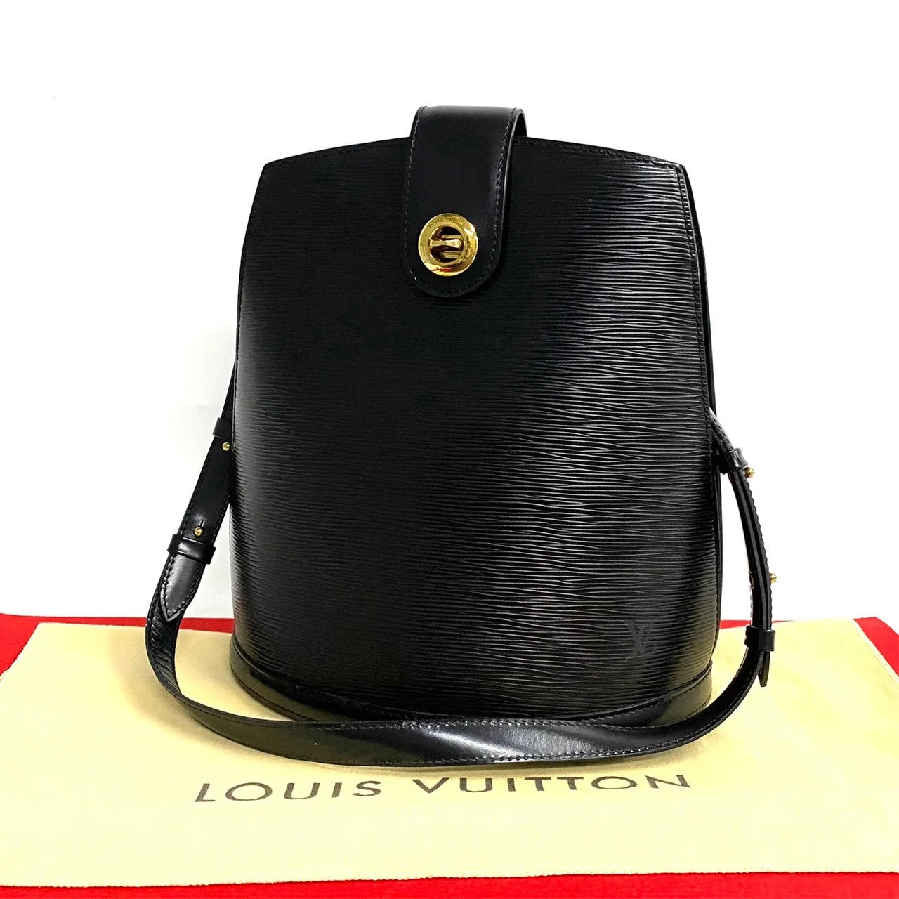 LOUIS VUITTON Shoulder Bag leather black Epi Cluny